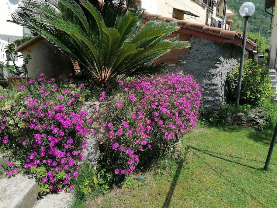 Villa Casa Andreina Salto Chiesa Exterior foto